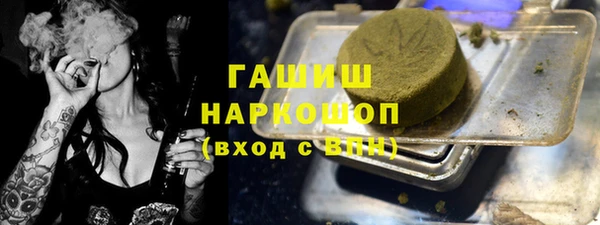 СК Алексин
