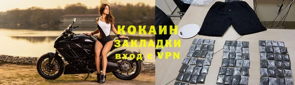 СК Алексин