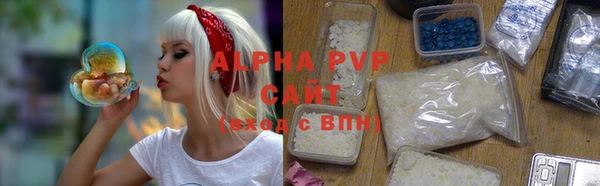 СК Алексин