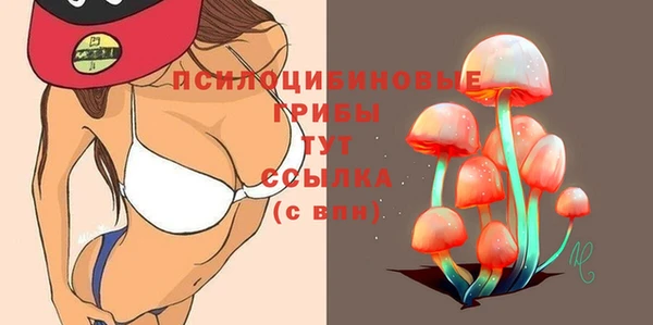 твердый Нефтекумск