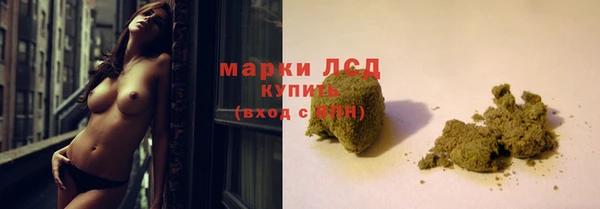 СК Алексин