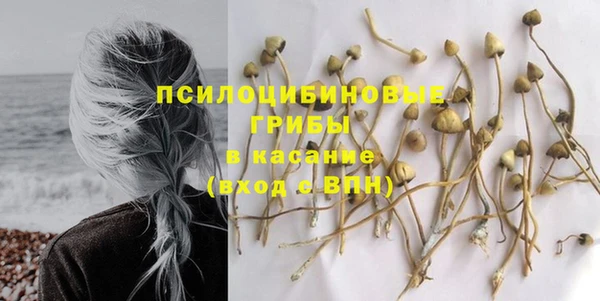 бошки Алексеевка